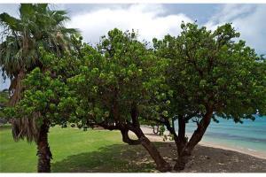 Beautiful Ground Floor! Corner! Just Steps To Ocean And Pool!120 Hotel Napili-Honokowai Exterior photo